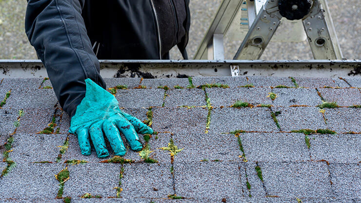 Nettoyage de la mousse sur le revêtement d'un toit.